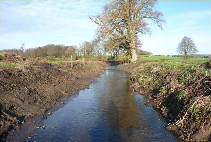 Floods and dredging