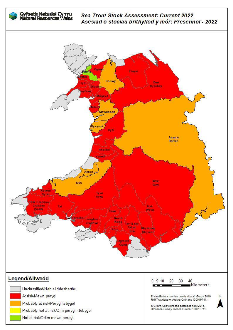 Salmon and sea trout statistics