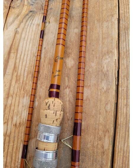 B James avocet rod