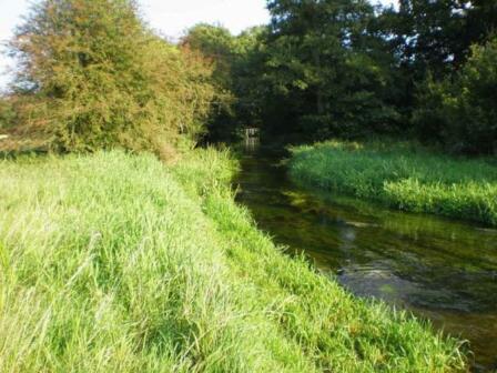 North Norfolk’s best kept chalk stream secrets