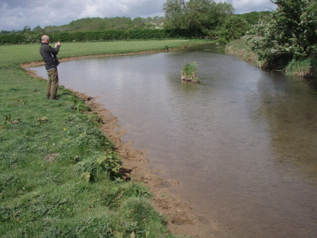 Cattle Poaching Sherborne Brook May 2011