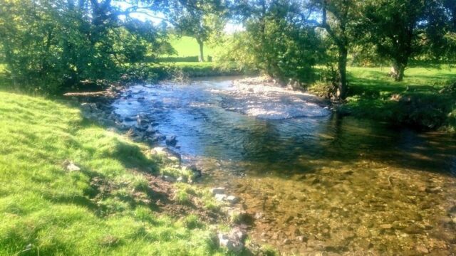 Cc7 Coniston Cold Weir 4 Months Post Work