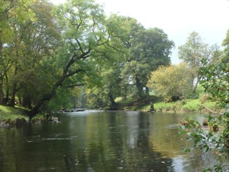 Plan for fishing in Wales