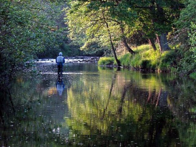 D Southall Derwent