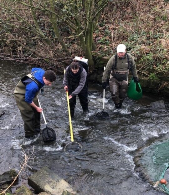 Electrofishing QM1920