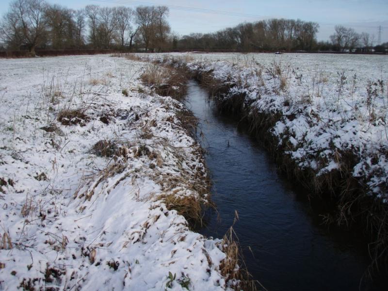 Etwall Brook artificially straight section