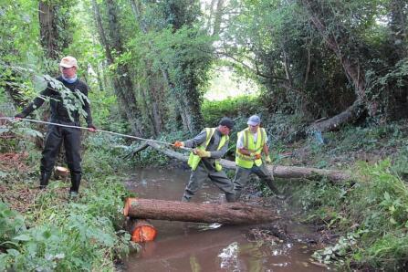 Friends of Bilbrook and Sheaf & Porter Rivers Trust Both Receive Trout in the Town Accreditation