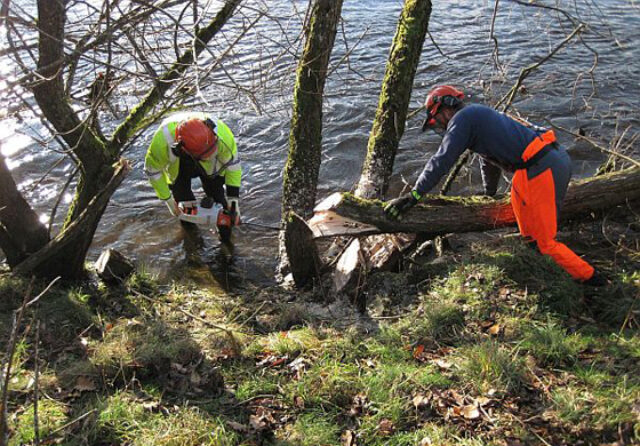 improving river habitat