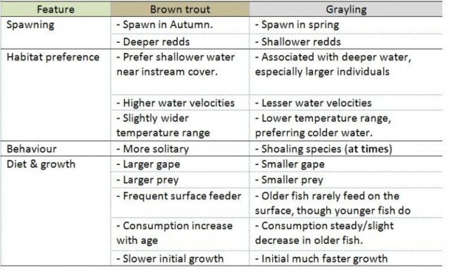 Grayling Table