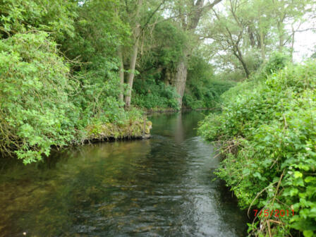 Wild trout adventures in unexpected places