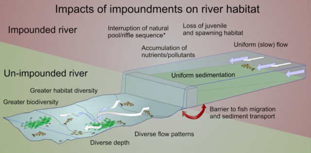 Impacts Of Weirs Diagram