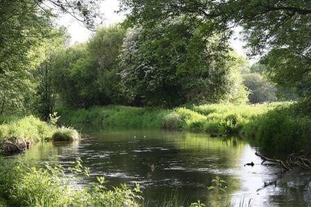 Chalk streams and climate change