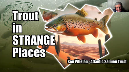 Ken Whelan: Trout in Strange Places