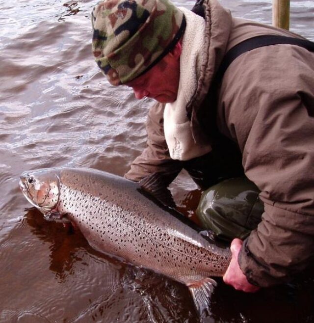 Loch Awe Ferox Comp