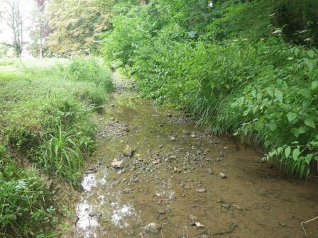 Can our drought-ravaged trout streams recover?