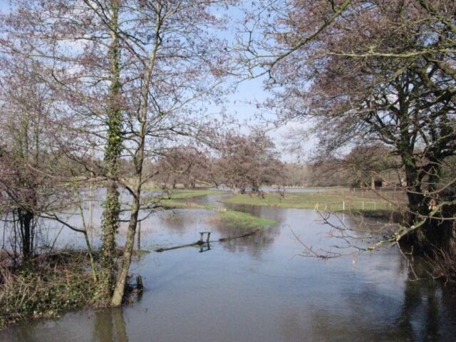 Meon Floods Comp