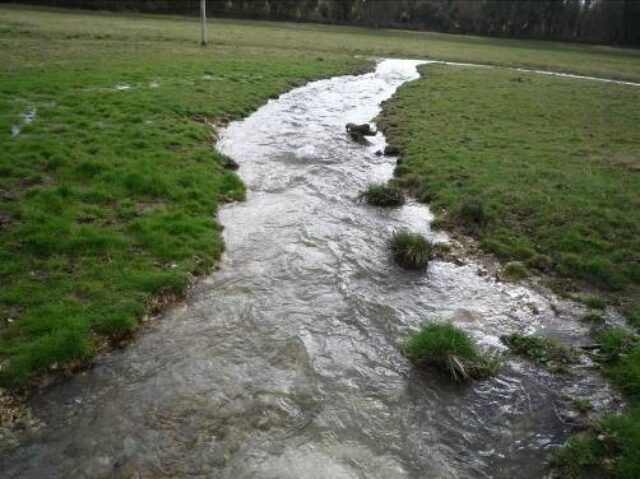 Meon perched channel