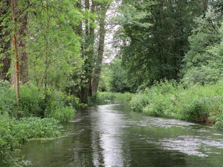 Buffer strips on river banks are good!