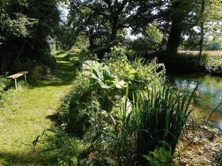 Chalkstream adventures that money can’t (usually) buy