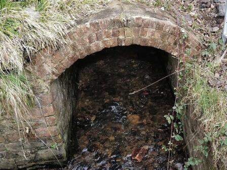 Nant Clais sewage pollution