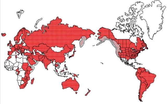 Native distribution of rainbow trout Oncorhynchus mykiss black diagonal and countries