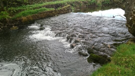 Newfield Weir 0516