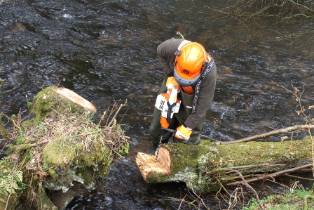 Pickering Beck working with a chainsaw