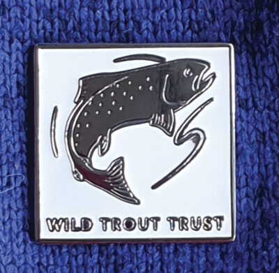 Pin badge web