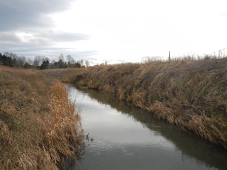 Straightened and dredged channel which is over-deep and lacking in natural bed substrate, with little opportunity for spawning