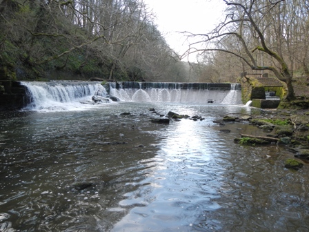 A weir posing a significant barrier to fish migration