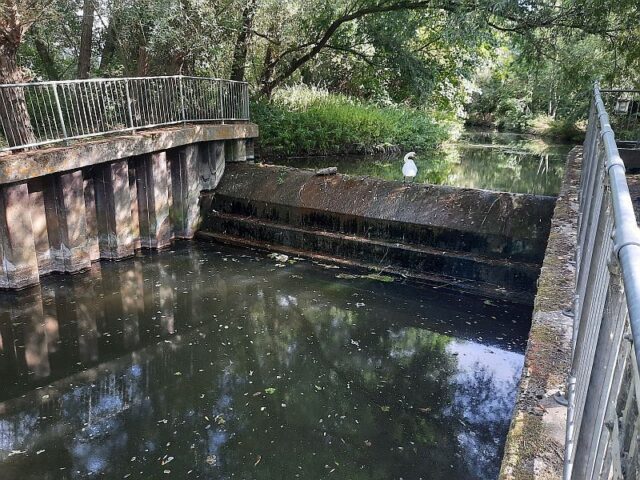 River Cam Hauxton Mill R Mungovan 7 Aug22