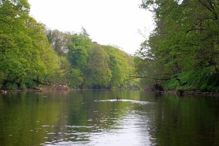 Angling Passport role with Tees Rivers Trust