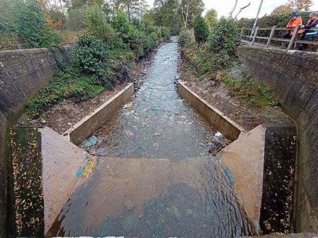 Snake lane weir after A1