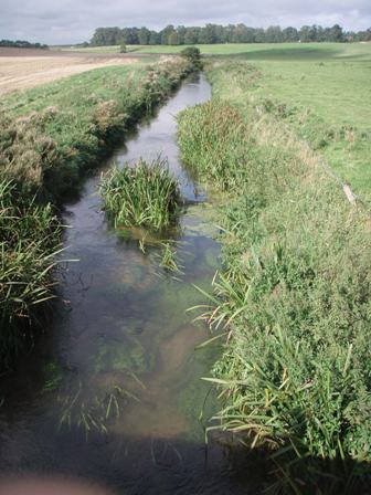 Impoversihed in-stream habitat in the straightened channel of River Stiffkey