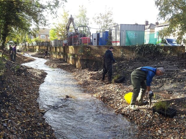 Thames Rivers and wetlands comp