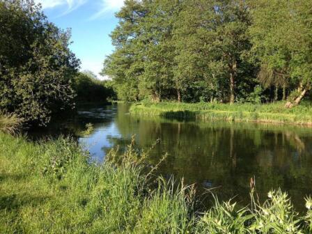 Chalkstream lots with no bids in the auction