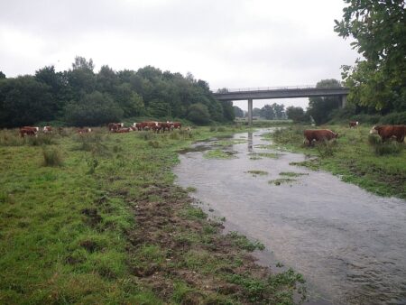 Tichborne AT poaching pic comp