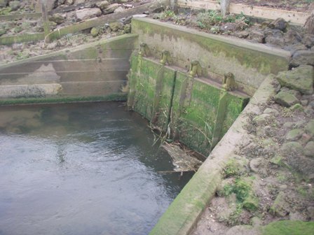 Structures to control the river and tidal flows are barriers to fish migration (tidal flap gates, River Stiffkey)