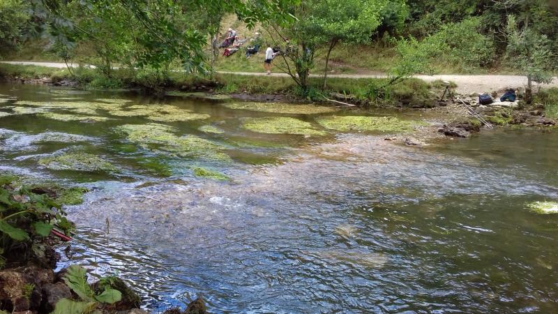 Dover weir removal after 