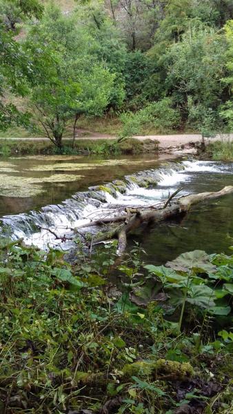 River Dove weir before 