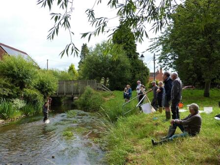 Riverfly monitoring with a TWIST!