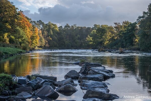 Tyne riverhill 1