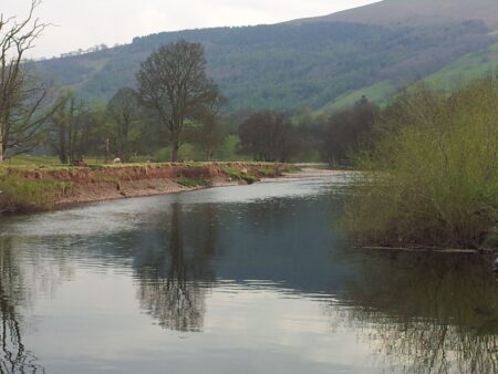 Usk sheep bank erosion