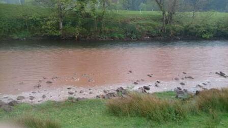 A dying river?  The state of the Usk report