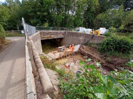 Weir removed one bite at a time 2