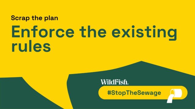 Wild Fish Stopthesewage