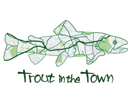 Trout in the Town: have you got your official accreditation yet?